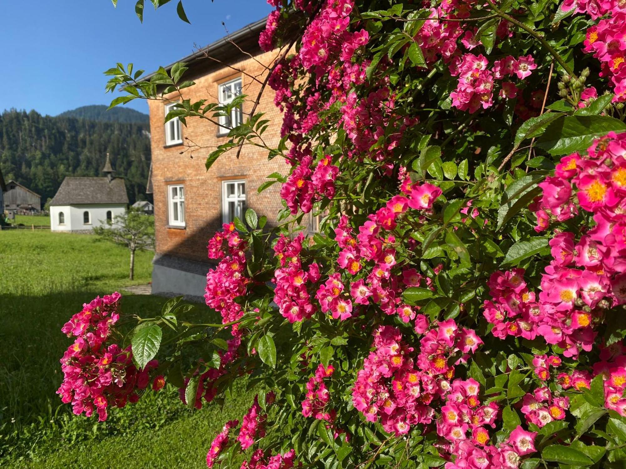 Bregenzerwaelderhaus Ambros Villa Bezau Exterior photo